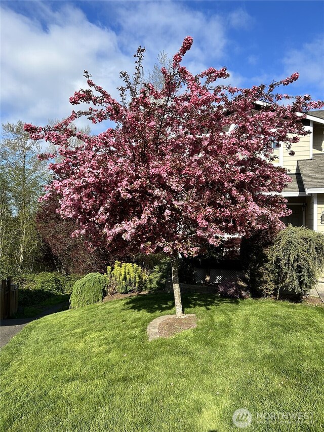 6801 36th St NE, Marysville, WA 98270 - photo 40