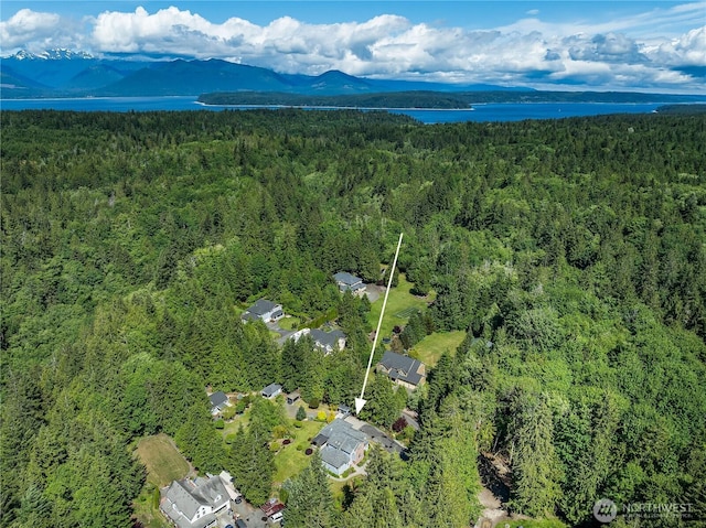 6841 NW Ranger Way, Silverdale, WA 98383 - bird's eye view of a forest and a water and mountain view