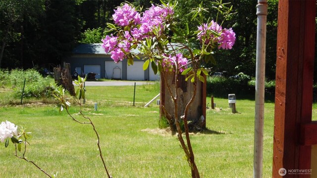 117 Greenwood Ave, Randle, WA 98377 - photo 30