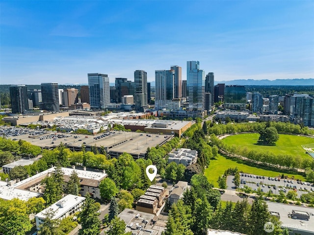 379 100th Ave NE Unit A, Bellevue, WA 98004 - bird's eye view of skyline
