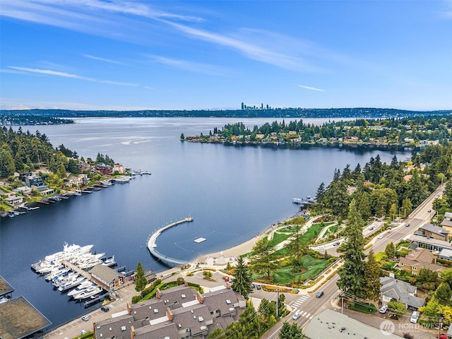 379 100th Ave NE Unit A, Bellevue, WA 98004 - drone / aerial view of a large body of water