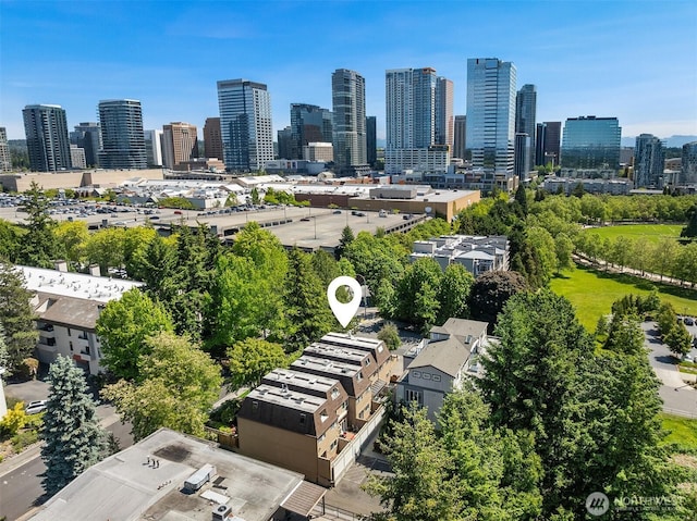 379 100th Ave NE Unit A, Bellevue, WA 98004 - skyline view