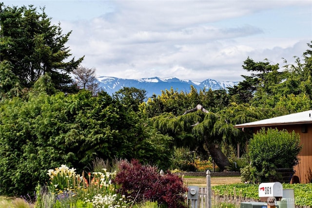361 E Anderson Rd, Sequim, WA 98382 - view of mountain backdrop
