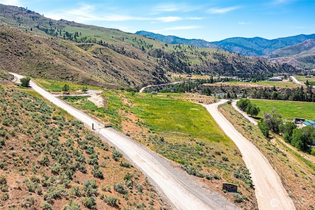 4 Cowboy Rd, Methow, WA 98834