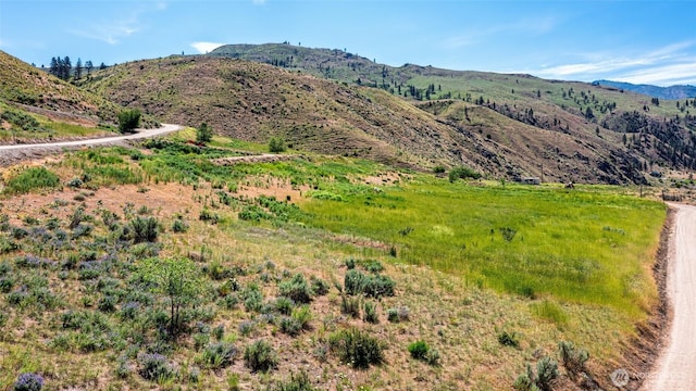 4 Cowboy Rd, Methow, WA 98834