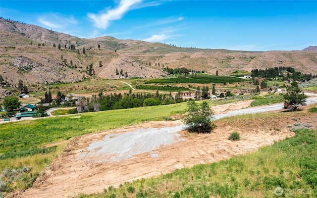 4 Cowboy Rd, Methow, WA 98834