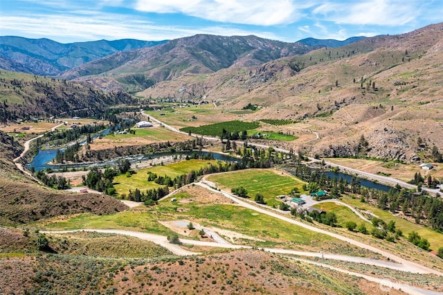 4 Cowboy Rd, Methow, WA 98834