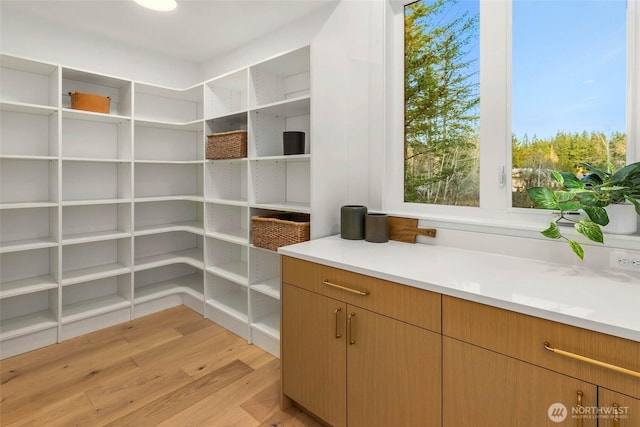 21412 NE 16th St, Sammamish, WA 98074 - view of storage area