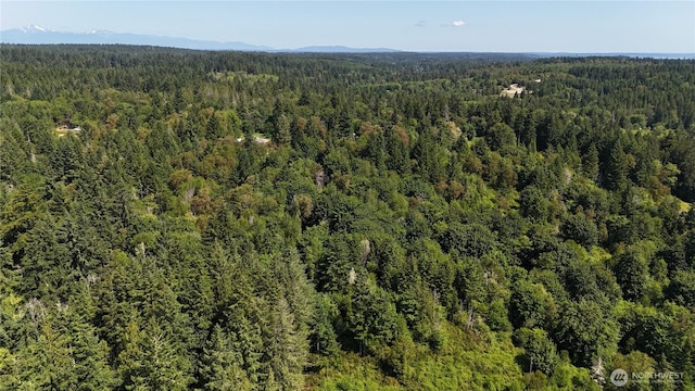 19789 Erickson Rd SW, Longbranch, WA 98351