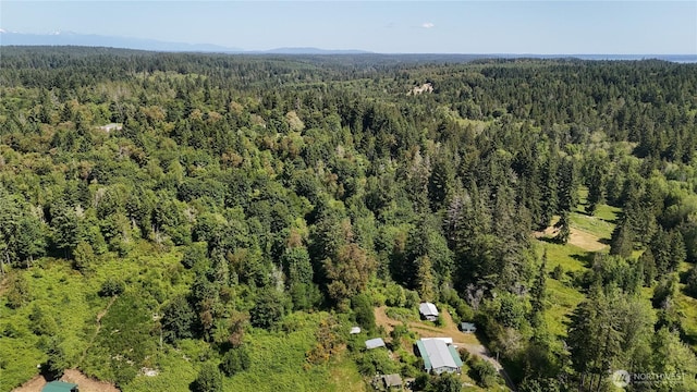 19789 Erickson Rd SW, Longbranch, WA 98351