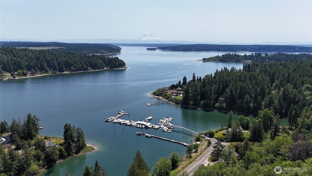 19789 Erickson Rd SW, Longbranch, WA 98351