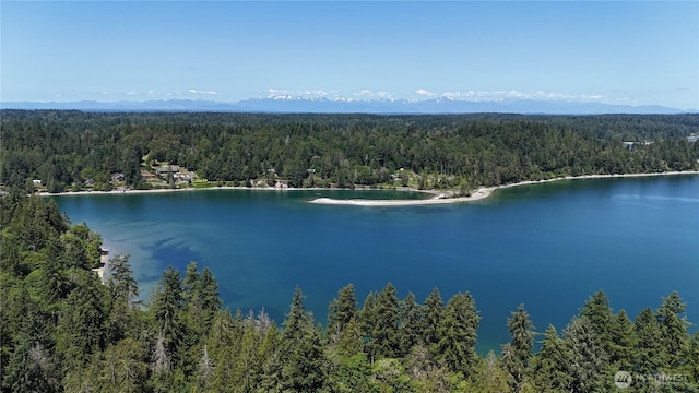 19789 Erickson Rd SW, Longbranch, WA 98351