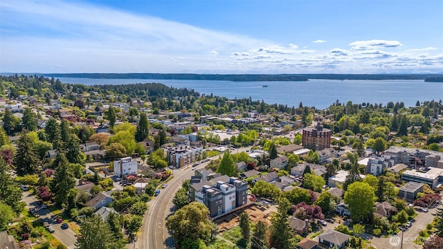 6320 41st Ave SW Unit D, Seattle, WA 98136 - aerial view of a nearby body of water