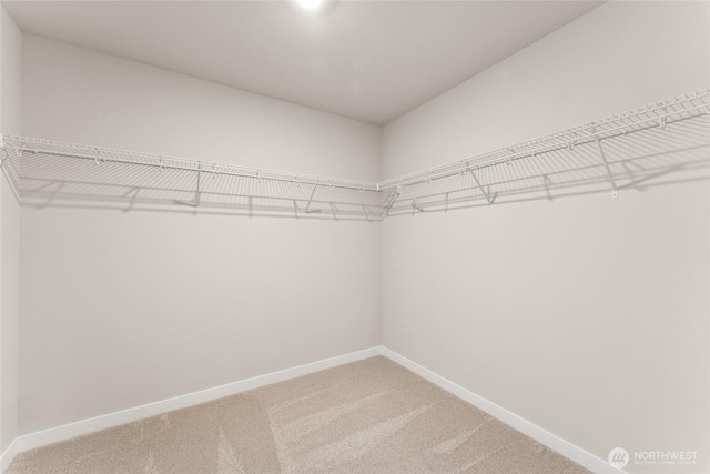 3822 98th Avenue Ct E Unit 9, Edgewood, WA 98371 - walk in closet featuring light carpet