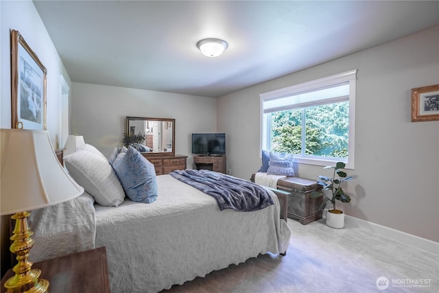 15210 19th Avenue Ct NW, Gig Harbor, WA 98332 - photo 24