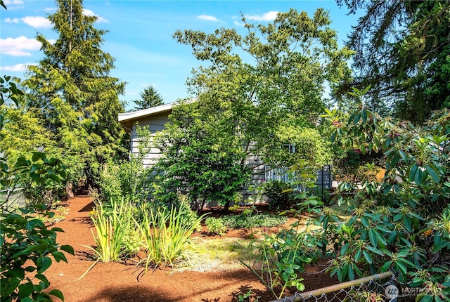 11816 40th Ave S, Tukwila, WA 98168 - view of yard