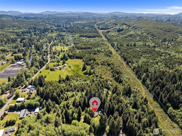 44 Edie, Naselle, WA 98638 - photo 2