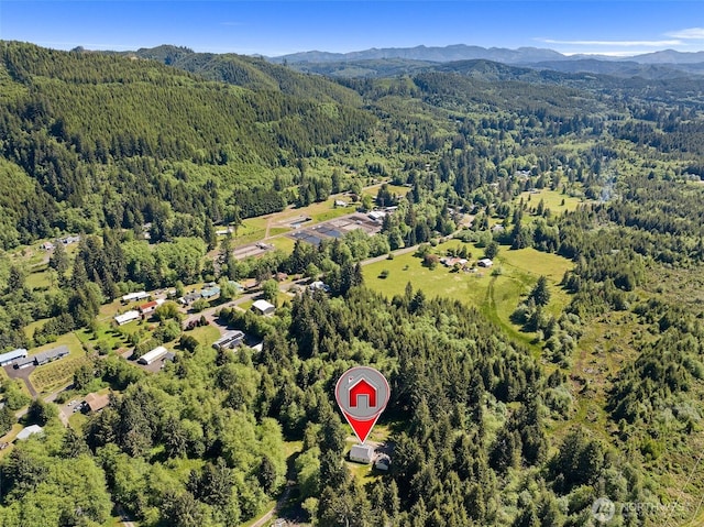 44 Edie, Naselle, WA 98638 - photo 31