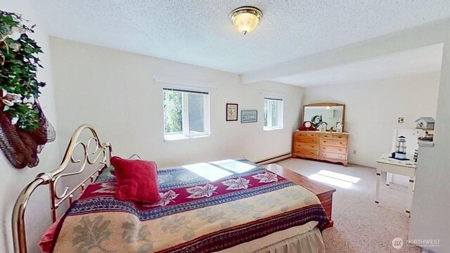 6910 Cliff Ave SW, Longbranch, WA 98351 - photo 24