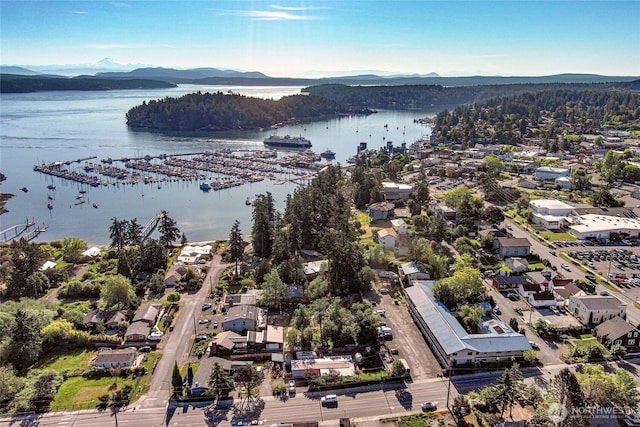 250 Tucker Ave Unit 22, Friday Harbor, WA 98250 - aerial view of a water and mountain view