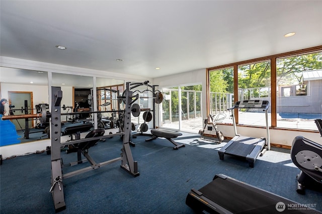 250 Tucker Ave Unit 22, Friday Harbor, WA 98250 - workout area featuring healthy amount of natural light, carpet floors, and recessed lighting