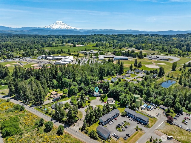 21710 104th Ave E, Graham, WA 98338 - drone / aerial view of a forest and mountains