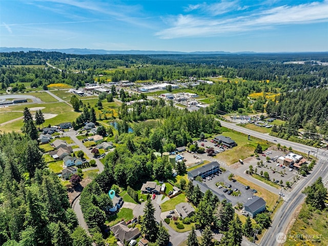 21710 104th Ave E, Graham, WA 98338 - aerial view of a forest
