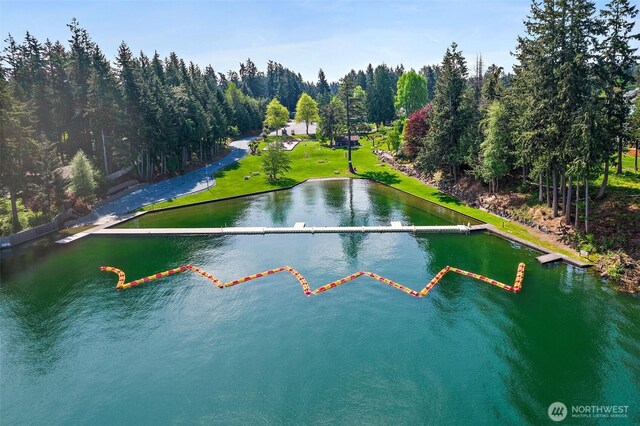 17018 45th St E, Lake Tapps, WA 98391 - photo 39