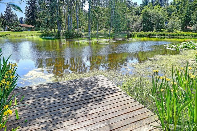 1441 Lake Dr, Camano Island, WA 98282 - photo 25