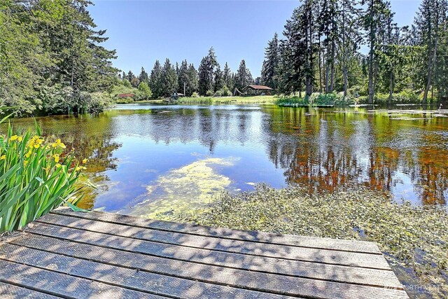 1441 Lake Dr, Camano Island, WA 98282 - photo 26