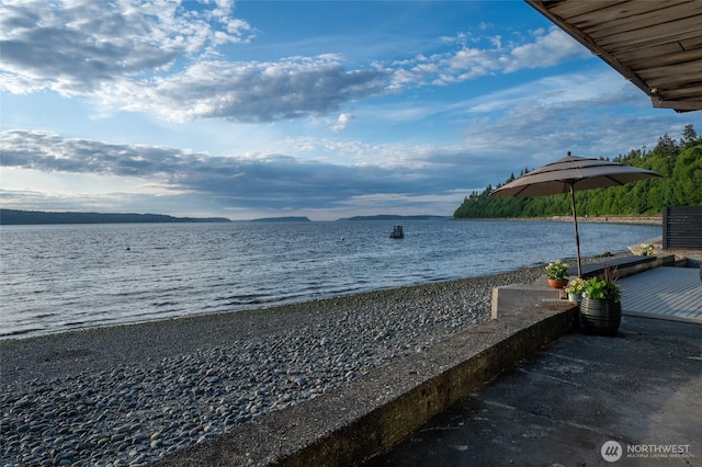 8204 Naketa Beach Walk, Mukilteo, WA 98275 - water view