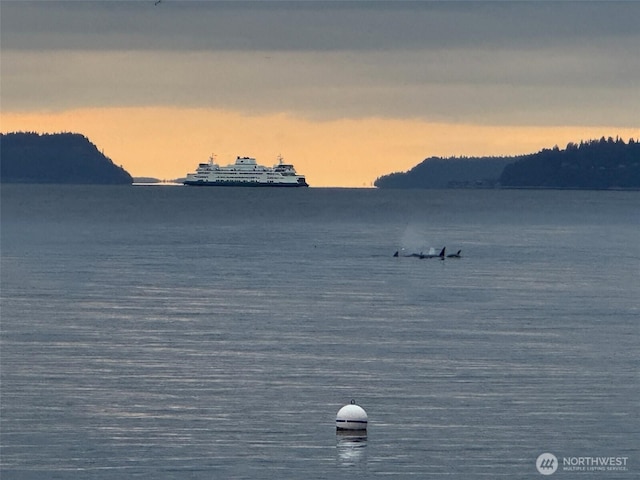 8204 Naketa Beach Walk, Mukilteo, WA 98275 - water view