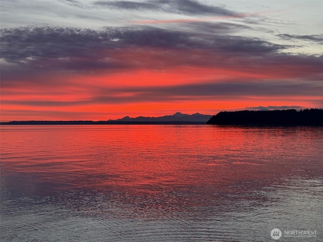 8204 Naketa Beach Walk, Mukilteo, WA 98275 - water view with mountains