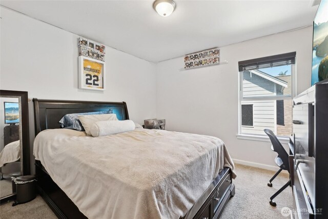 16559 Frazier Heights Pl, Burlington, WA 98233 - photo 29