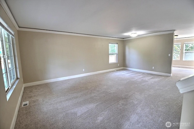 831 SW 364th Pl, Federal Way, WA 98023 - carpeted spare room featuring ornamental molding, plenty of natural light, and baseboards