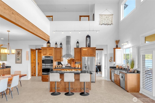 62 E N Bay Rd, Allyn, WA 98524 - kitchen with wall chimney exhaust hood, appliances with stainless steel finishes, a towering ceiling, a sink, and dark countertops