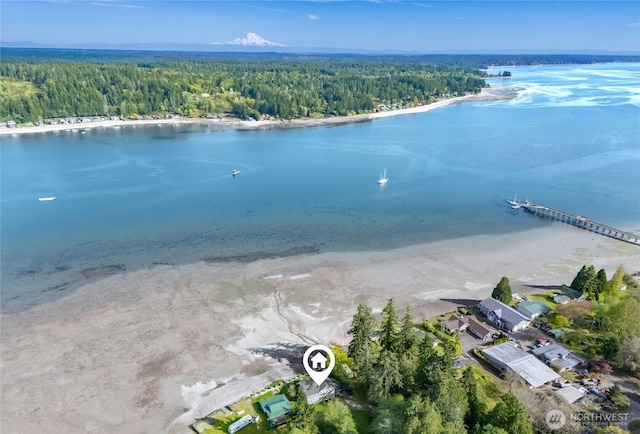 62 E N Bay Rd, Allyn, WA 98524 - aerial view of property and surrounding area featuring a forest and a nearby body of water