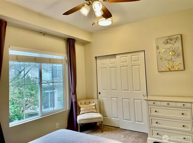 4459 249th Ter SE Unit 8-5, Issaquah, WA 98029 - bedroom with multiple windows, light colored carpet, a closet, and ceiling fan