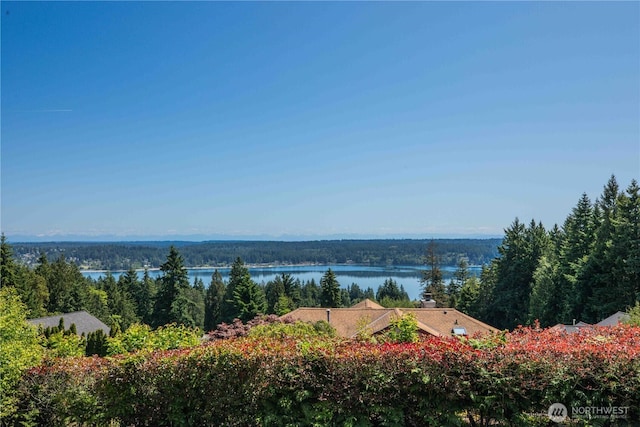 8082 Daniel Pl NW, Silverdale, WA 98383 - water view featuring a forest
