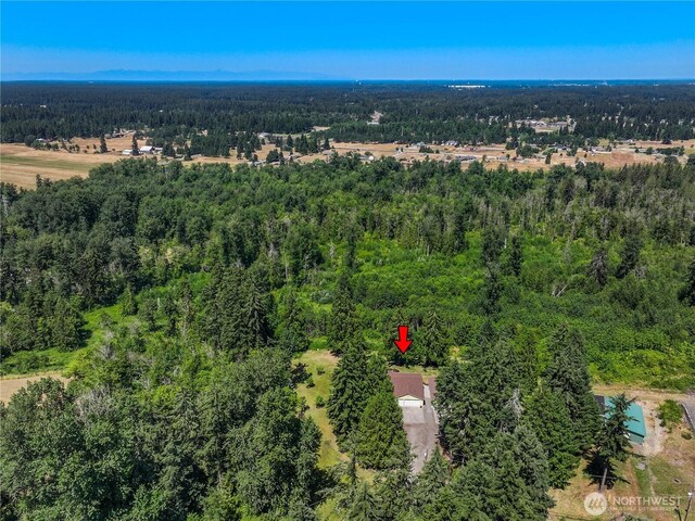 27610 52nd Avenue Ct E, Spanaway, WA 98387 - photo 32