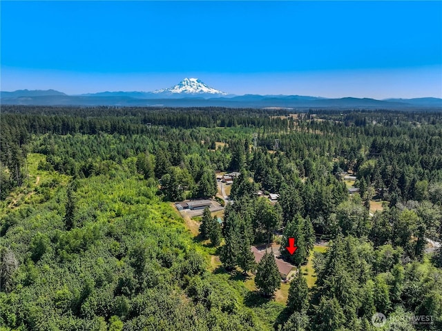 27610 52nd Avenue Ct E, Spanaway, WA 98387 - photo 34