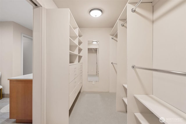 530 Alexander Ave, Kirkland, WA 98033 - view of walk in closet