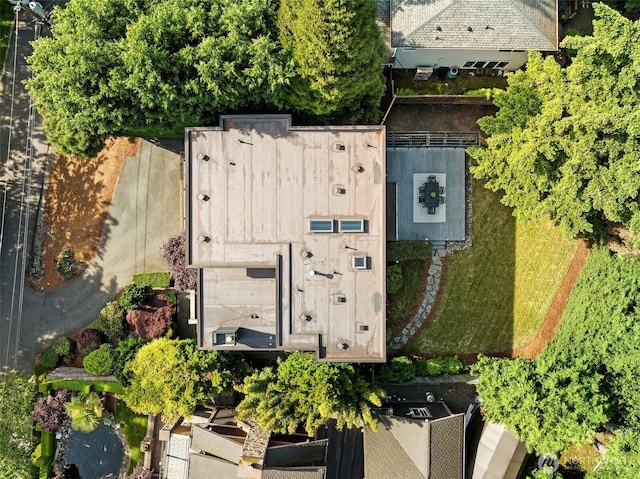 530 Alexander Ave, Kirkland, WA 98033 - bird's eye view