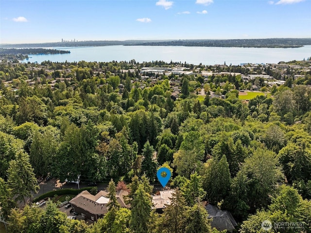 530 Alexander Ave, Kirkland, WA 98033 - aerial view of a nearby body of water