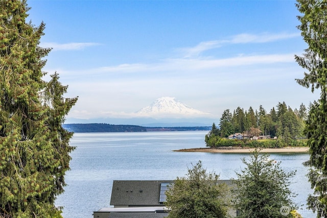 16618 11th Ave NW, Lakebay, WA 98349 - photo 22