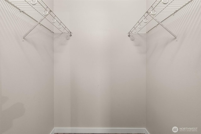 18822 Rampart Dr SE, Yelm, WA 98597 - view of spacious closet