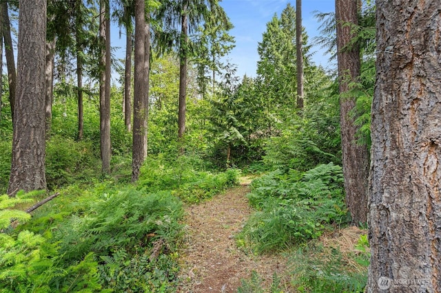 18822 Rampart Dr SE, Yelm, WA 98597 - view of tree filled area