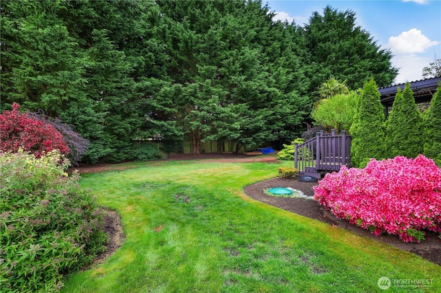 23813 109th Street Ct E, Buckley, WA 98321 - view of yard