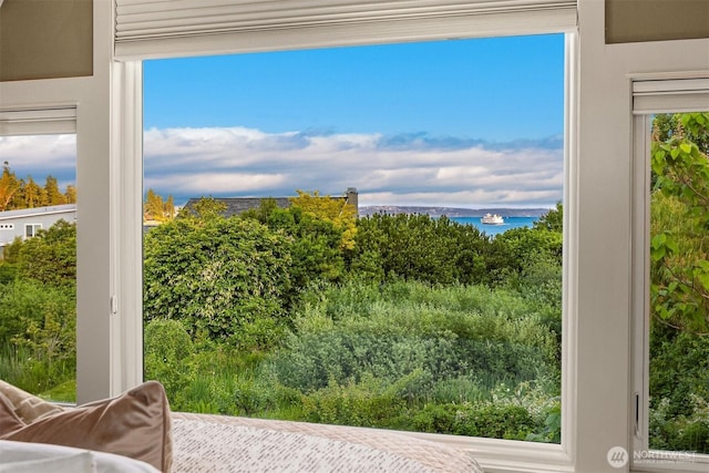 1237 Hawley Way NE, Bainbridge Island, WA 98110 - water view