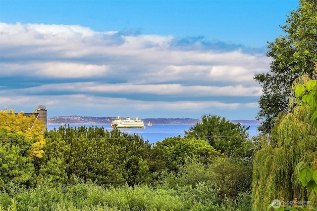 1237 Hawley Way NE, Bainbridge Island, WA 98110 - water view